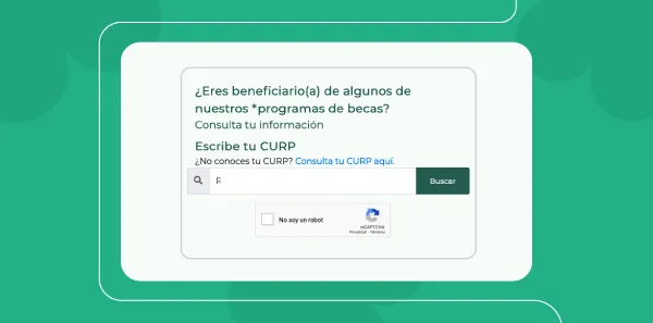 Cómo acceder al buscador paso a paso