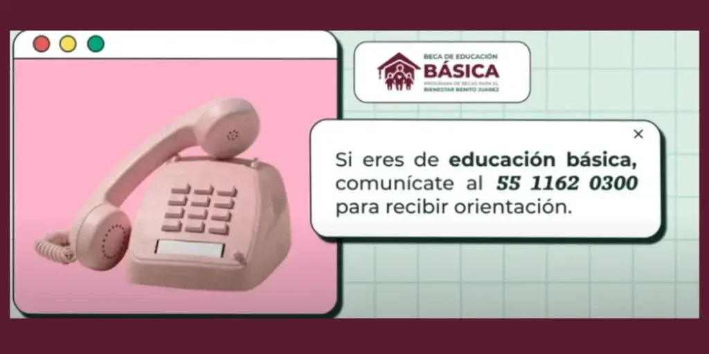 Educación Básica