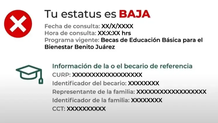 Estatus Baja