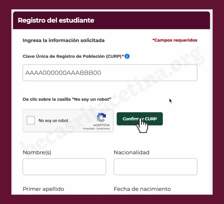 Ingresar la CURP