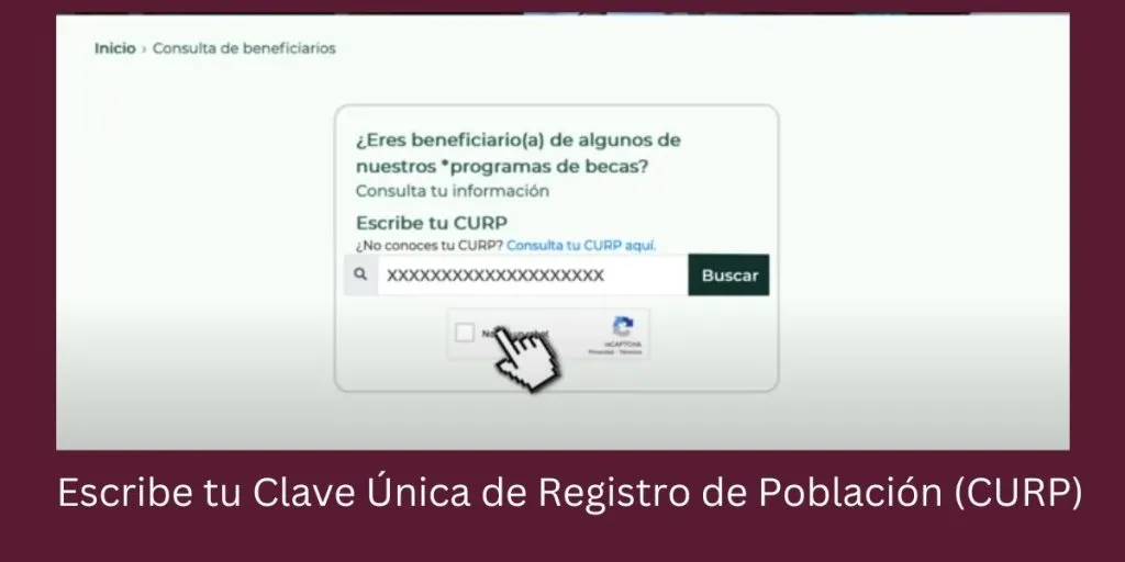 Buscador De estatus