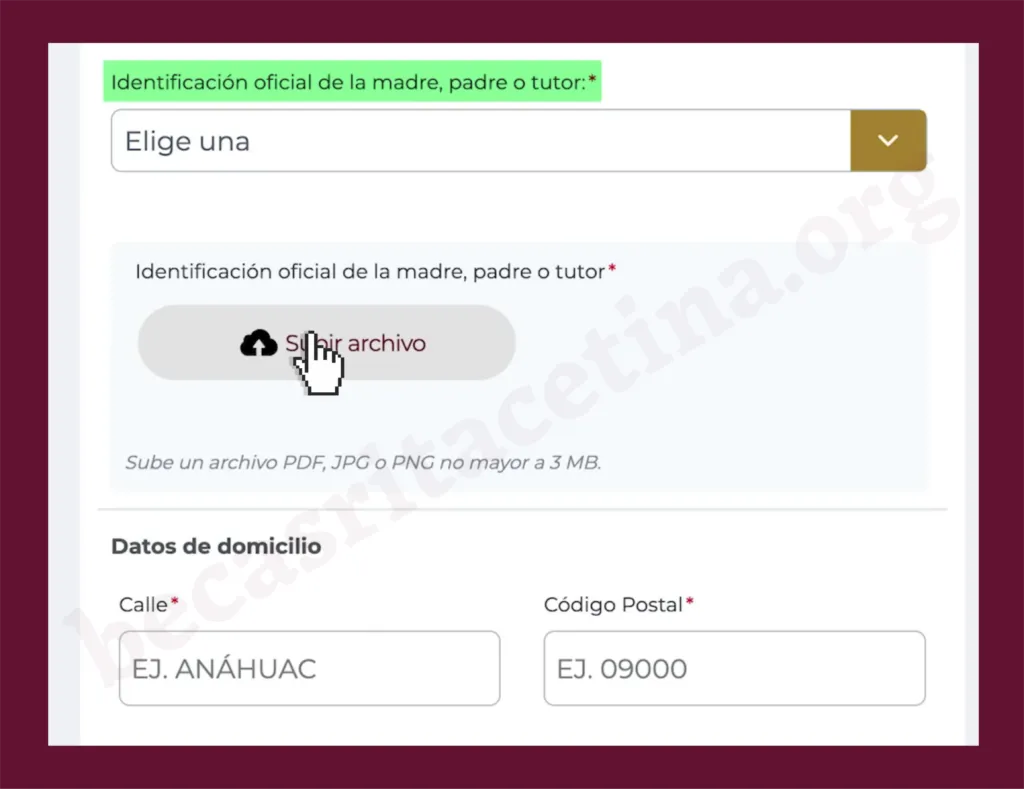 Sube una identificación oficial